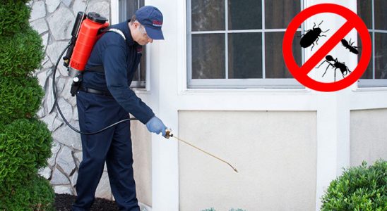 Soğukkuyu Böcek İlaçlama böcek ilaçlama ve haşere kontrolü — ilaclama-tr.com
